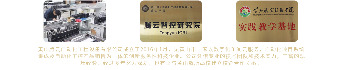 公司簡介